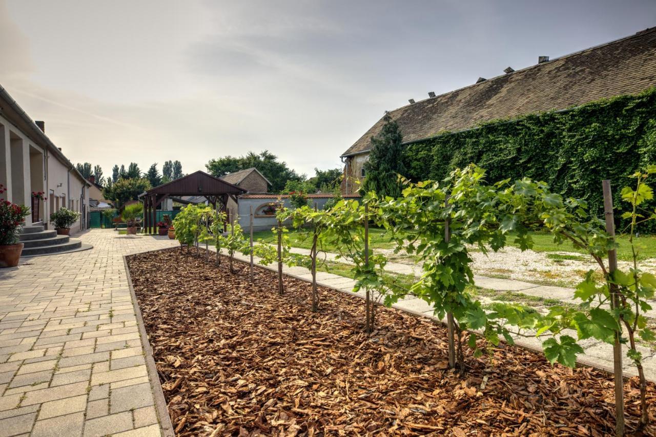 Adamko Borkert Haz Bed & Breakfast Villany Luaran gambar